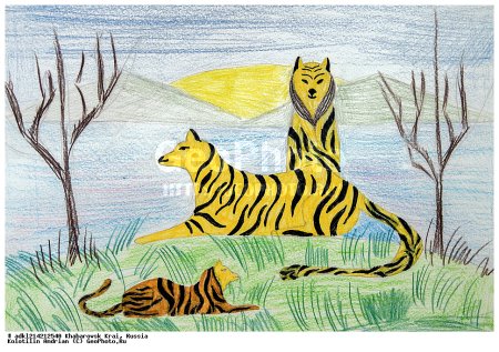 Рисунки о Хабаровском крае