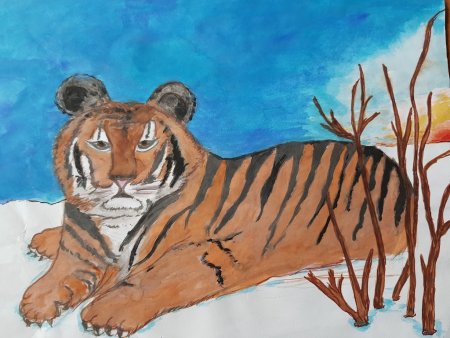 Рисунки амурских тигров