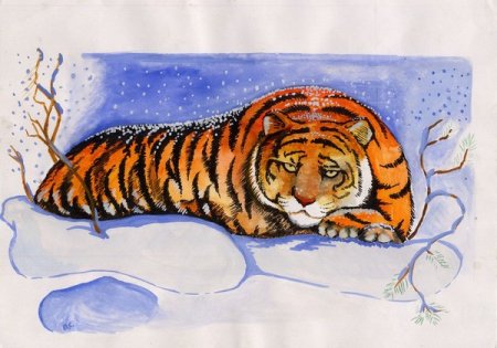 Хабаровский край рисунки