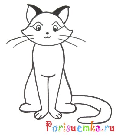 Сидячая кошка рисунок