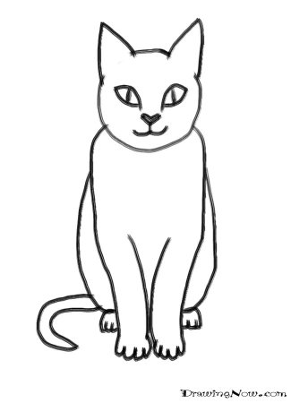 Кошка для срисовки легкая