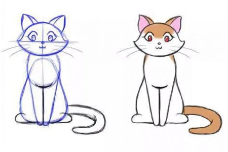 Рисунок кошки для срисовки