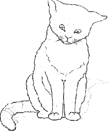 Нарисовать сидящего кота