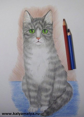 Нарисовать сидящего кота