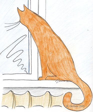 Кот на окне рисунок карандашом