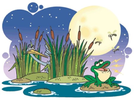 Болото для детей