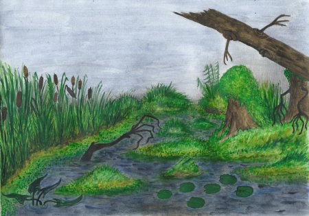 Болото для детей