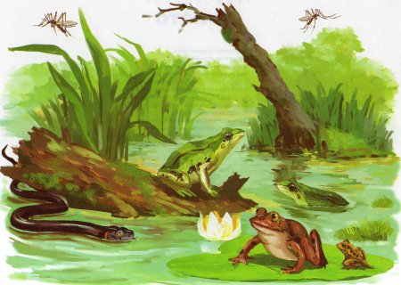 Болото мультяшное