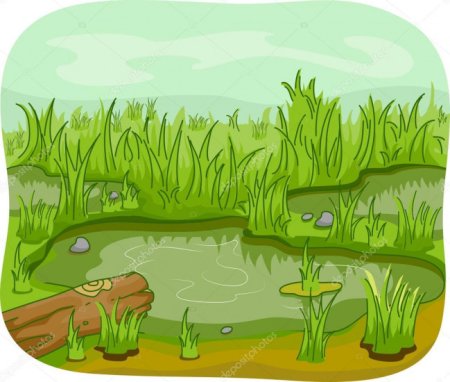 Болото мультяшка
