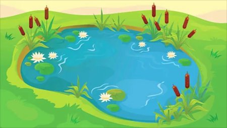 Болото для детей