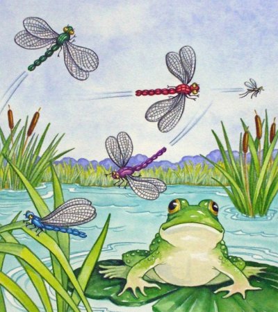 Болото на белом фоне