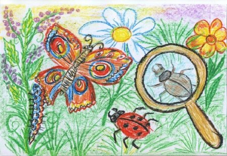 Рисование на тему мир насекомых