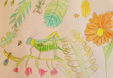 Рисование мир насекомых