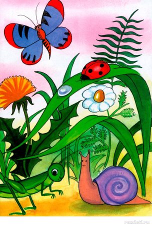 Насекомые для детей