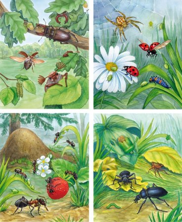 Поэтапное рисование насекомых