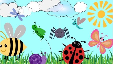 Насекомые. Раскраска