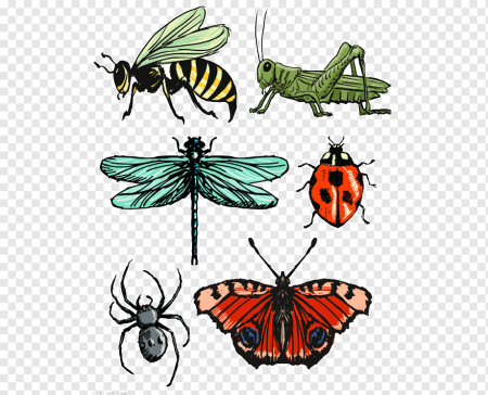 Мультяшные гусеницы