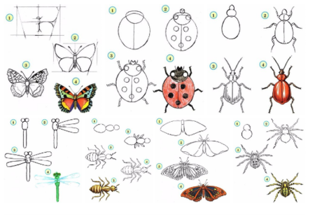 Мультяшные насекомые