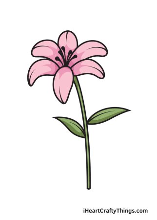 Лилия рисунок легкий