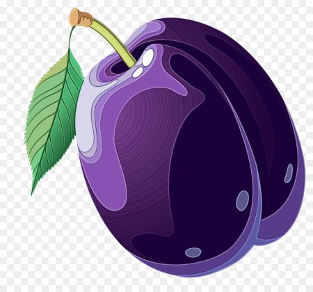 Слива фрукт