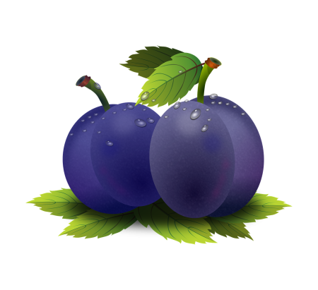 Слива для детей