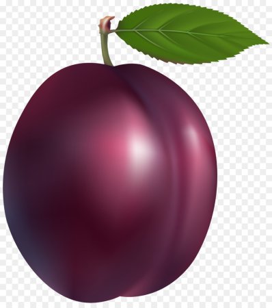 Слива для детей