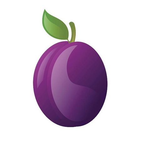 Слива вектор