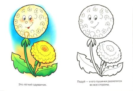 Одуванчик раскраска для малышей