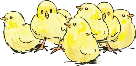 Цыпленок рисунок