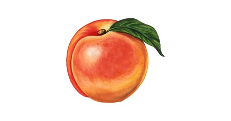 Персик цветными карандашами