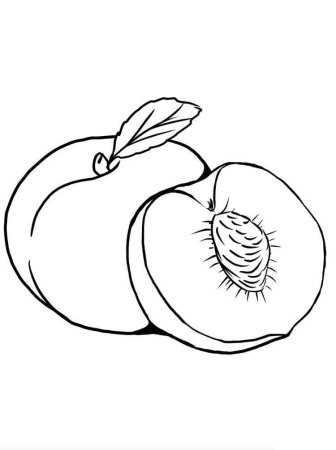 Абрикос раскраска для детей