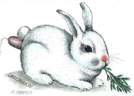 Заяц белый нарисованный