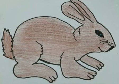 Зайчик рисунок с боку