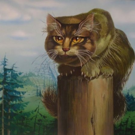 Гримм кот Баюн