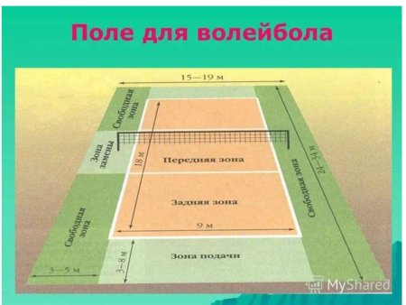 Игровое поле для волейбола Размеры и разметка