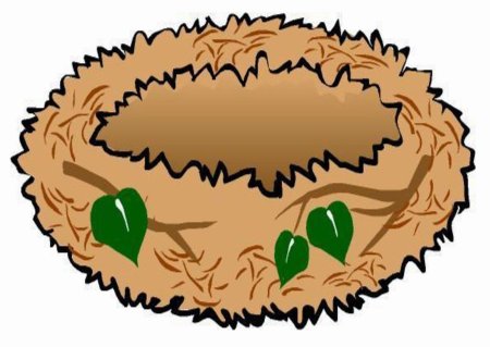 Nest для детей