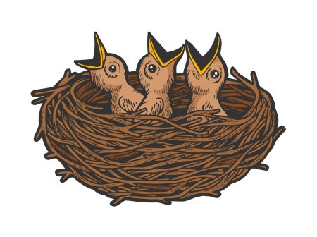 Птенцы в гнезде для детей