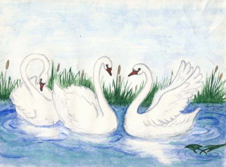 Лебедь рисунок