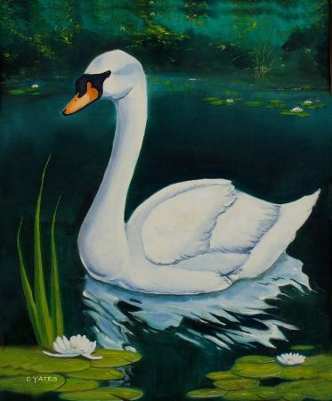 Рисование лебедя