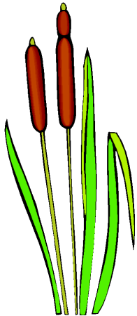 Камыши мультяшные