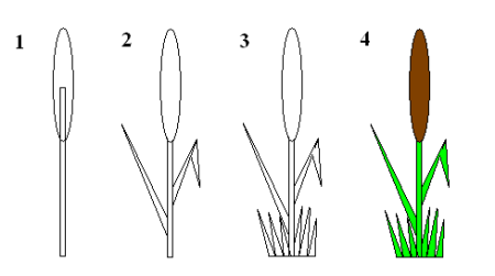 Как рисуется камыш