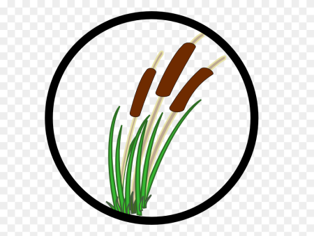 Камыш мультяшный