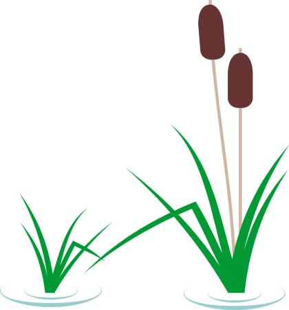 Камыш для распечатки