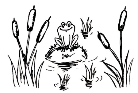 Камыши раскраска для детей