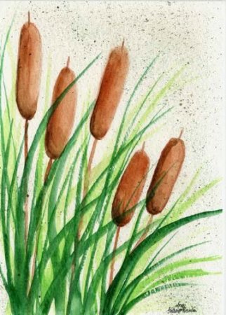 Камыш красками