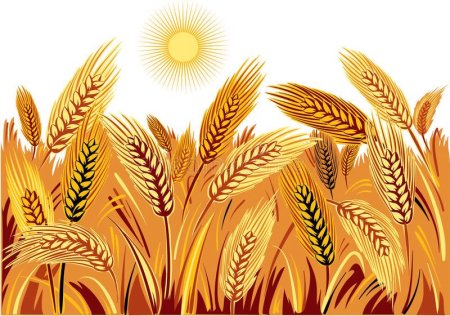 Рисование хлебное поле