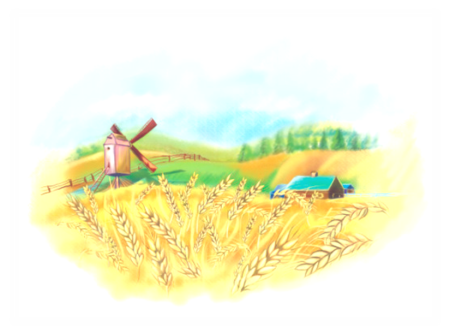 Поле пшеницы