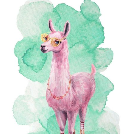 Раскраска лама