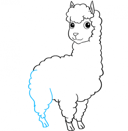 Лама альпака мульт