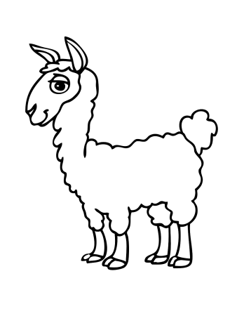 Лама раскраска для детей